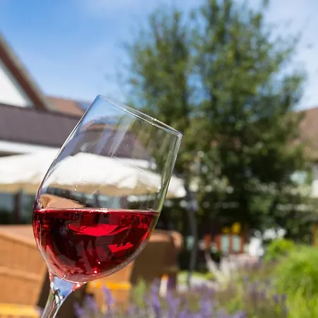 Ringhotel Warnemuender Hof Hotel 4*