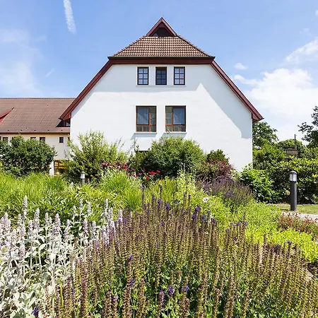 호텔 Ringhotel Warnemuender Hof 4*