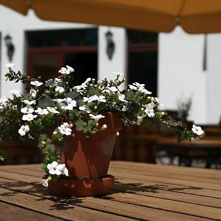 Ringhotel Warnemuender Hof 4* 로스토크